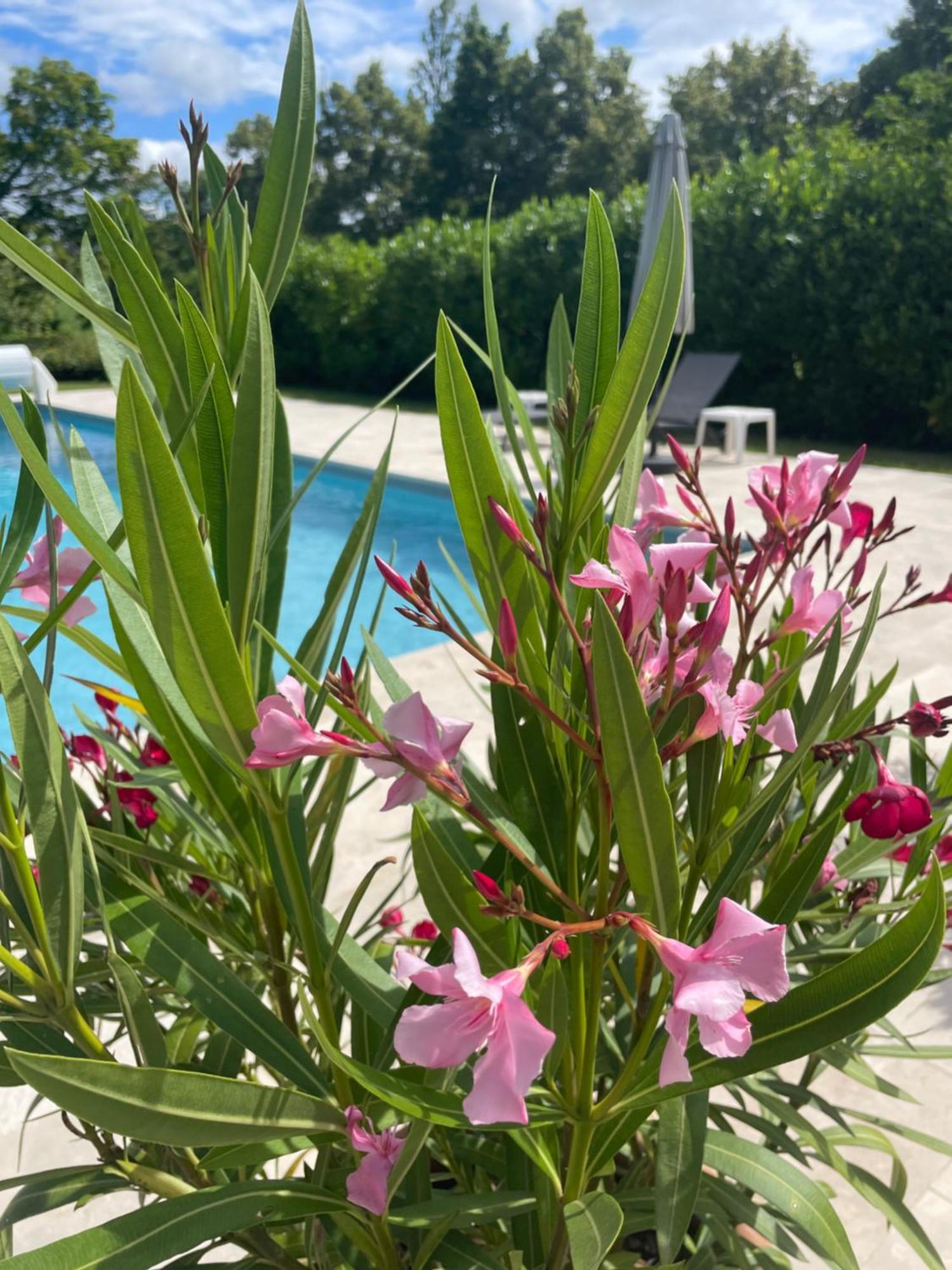 Bed and Breakfast La Grange Du Barry Belveze Exterior foto